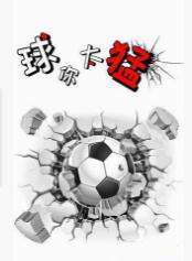 球你太猛图1