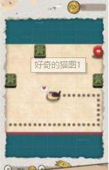 好奇的猫图1