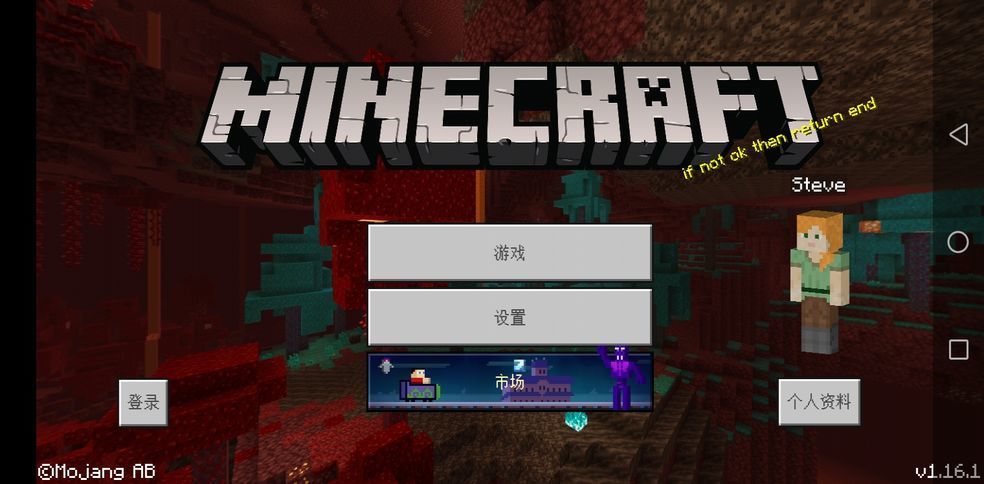 我的世界1.16版本图1