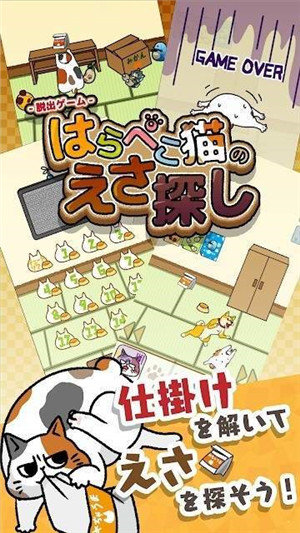 为饥饿的猫寻找饲料图1