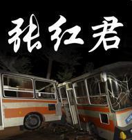 孙美琪疑案张红君