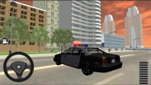警车自由驾驶图4