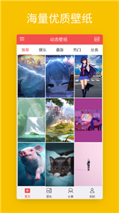 安卓动态壁纸图2