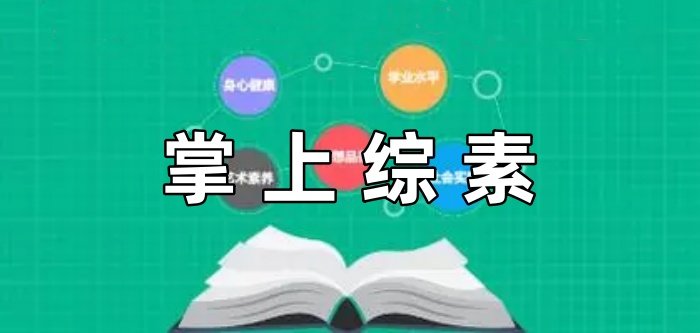 掌上综素
