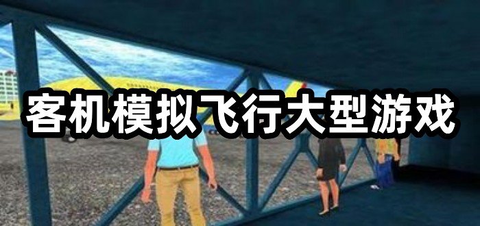 客机模拟飞行大型游戏