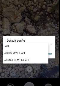 谷歌相机
