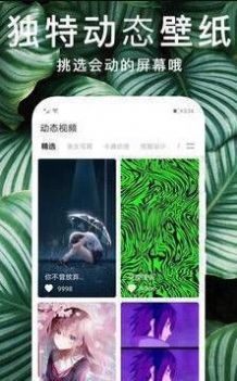 主题动态壁纸图2