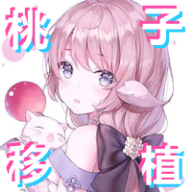 pixelbunny有声版